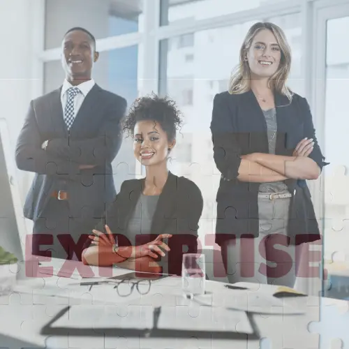 2.Proven Expertise